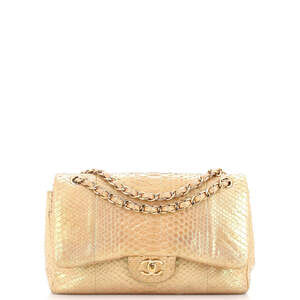 Chanel Jumbo Classic Double Flap Bag Iridescent Python